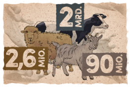 F?hrende Milchverarbeiterin