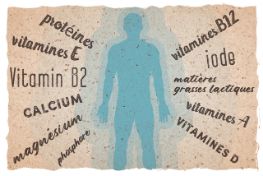 5 echter Muntermacher FR