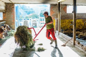 Honig_Blum_Roggliswil_Arbeit