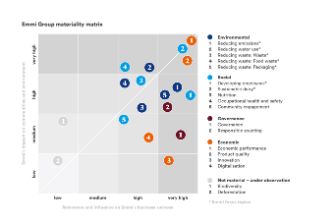 emmi-materiality-matrix