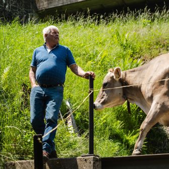 Dieden_Baumann_Wassen_Arbeit-1