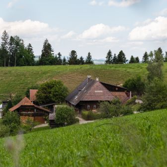 Heiniroth_Habegger_Gr?nen_Hof