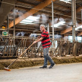 Hof-Heer_Heer_Ebertswil_Arbeit