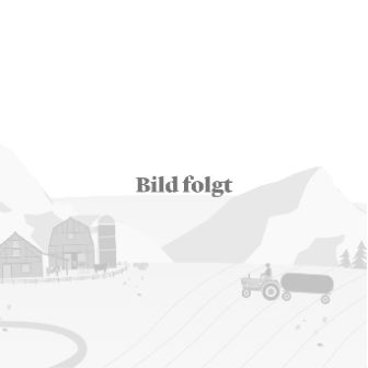 Platzhalter quadratisch_1370x1370_Landschaft