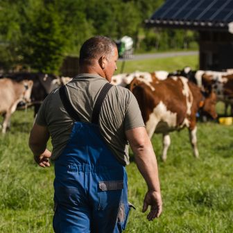 Wiggermatt_Meier_Willisau_Arbeit