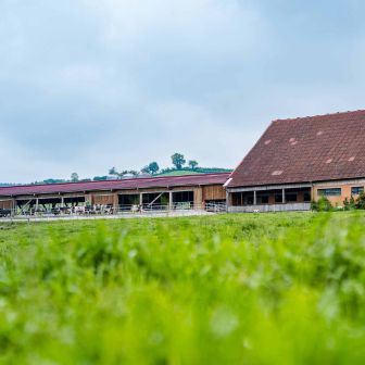 BG_Leu_Anderhub_Leu_Hohenrain_Arbeit_Hof