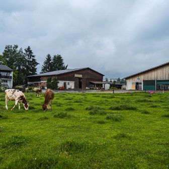 Büelhof_Trutmann_Riedikon_Hof