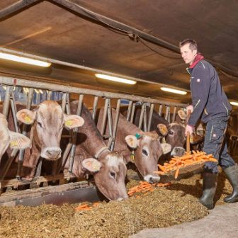 Chleehof, Beat Zimmermann-Knecht, Fisibach_Stall