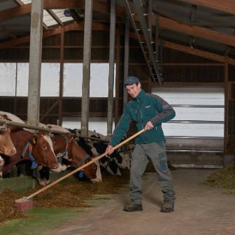 GG Näf, Thomas Näf, Buttwil_Stall_5