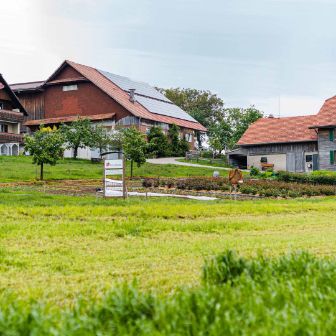 Halde_Niederberger_Hildisrieden_Hof