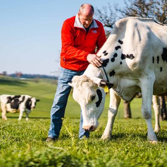 Haldenstall_Krebs_Forch_Arbeit