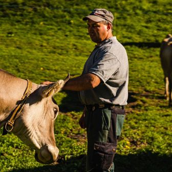 Hattig_Würsch_Emmetten_Arbeit