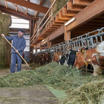 Hinterhaus, Markus Schneider, Bolligen_Stall_4