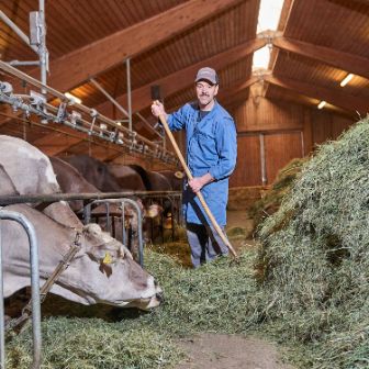 Hof Alter, Roland Kamm, Filzbach_Stall