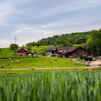 Hof Basler_Basler_Küttigen_Hof