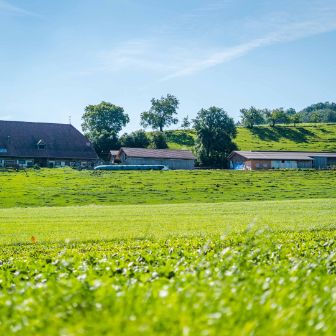 Hof_Lehmann_Lehmann_Hindelbank_Hof