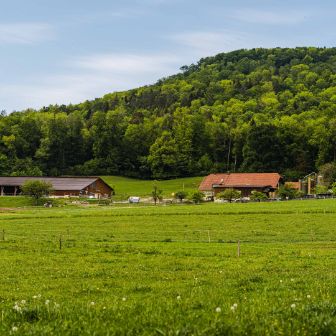 Hof Luder_Luder_Oftringen_Hof