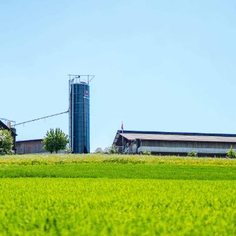 Hof_Lüscher_Lüscher_Muhen_Hof