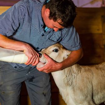 Hof_Meyer_Meyer_Knutwil_Arbeit