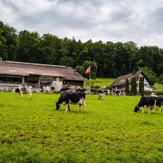 Hof Zollinger_Zollinger_Urdorf_Hof