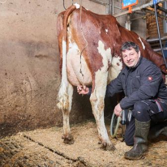 Kaltenbrunnenhof, Peter Ulrich, Trimbach_Stall_2