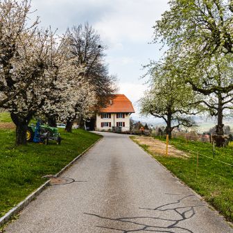 Landgut Widenmoos_Fischer_Winikon_Hof-2