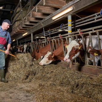 Lucherenhof, Ueli und Christine Fahrni, Rumisberg_Stall