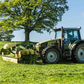 Meiers_Holstein_Meier_Kyburg_Arbeit
