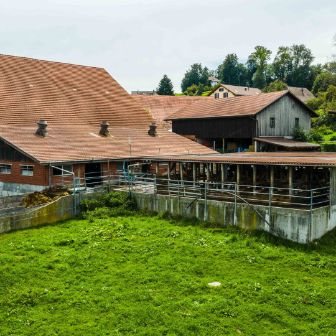 Milchwirtschaftsbetrieb_Dommen_Dommen_Pfeffikon_Hof
