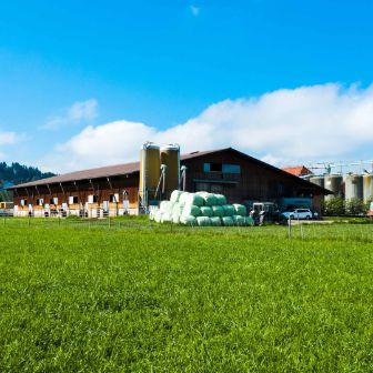 Niedereichi_Nydegger_Länzerhäusern_Hof