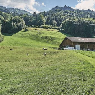 Schluchen_Sturzenegger_Filzbach_Hof