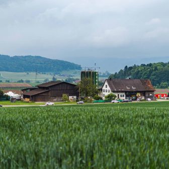 Steinbrüggli_Schlatter_Otelfingen_Hof