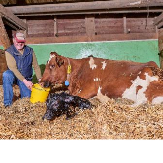 Talacherhof,-Patrick-Mueller,-Lengnau_Stall_zugeschnitten