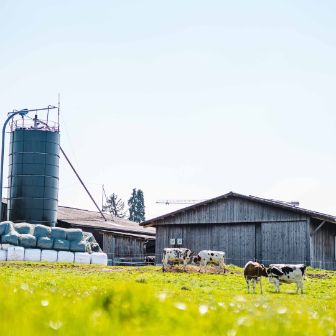 Tambelhof_Stalder_Herrliberg_Hof