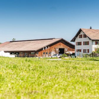 Weidriethof_Zeller_Seegr?ben_Hof