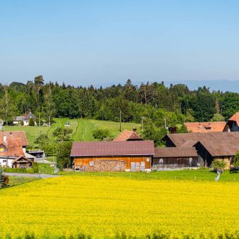 Wyssmann_Wyssmann_Neuenegg_Hof