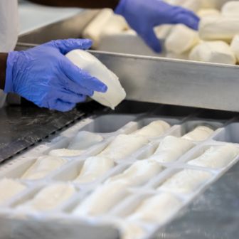 stories-frischkaeseproduktion-dagmersellen-text-image-02