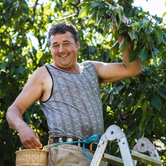 Kupfernhof_Landolt_Mollis_textimage 2