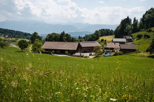Chrinnehof_Kindlimann_Wald_Hof