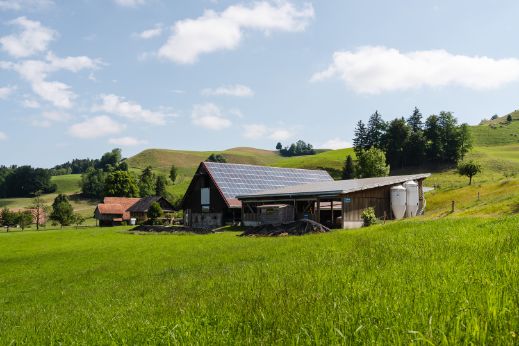 Hinter-Opfersei_Burri_Hergiswil b. Willisau_Hof