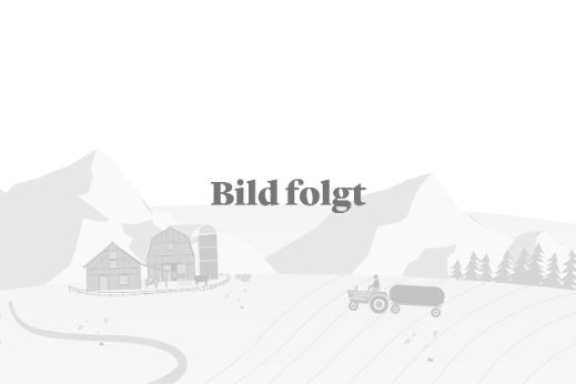 Platzhalter Image_2976x1674_Landschaft