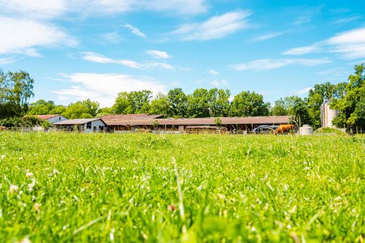 Eichhof_Krebs-Jenni_Bühl_b._Aarberg_Hof