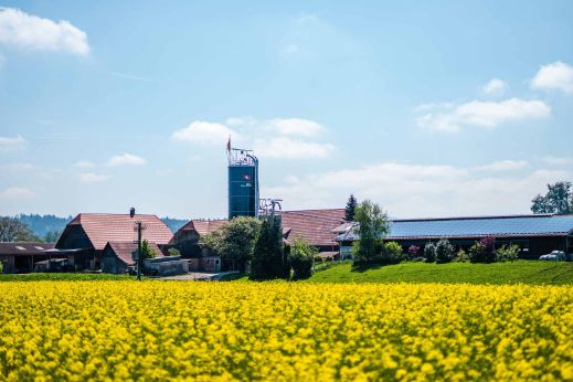 Hof_Gilgen_Gilgen_Oberwangen_Hof