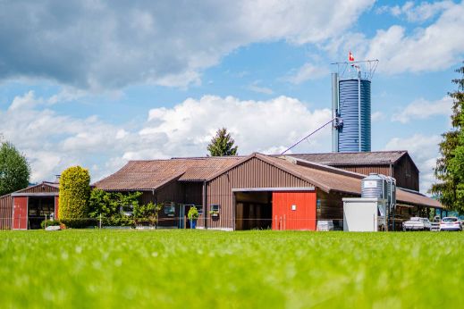 Nutzihof_Götschmann_Strengelbach_Hof