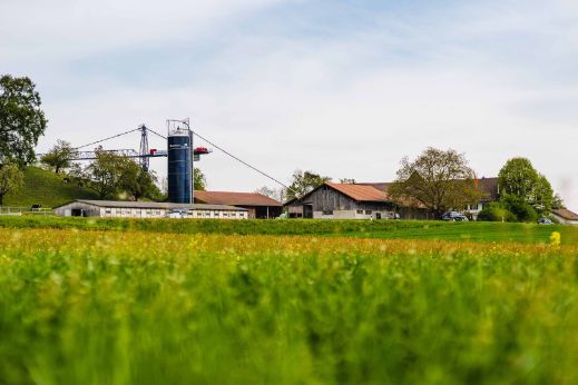 Steinhof_Suter_Zobrist_Hendschiken_Hof