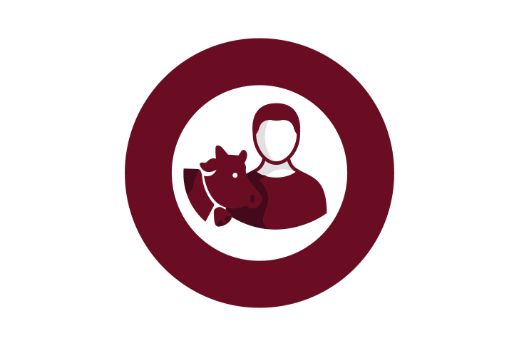 Teaser-M_SUST_Pillar_Communities