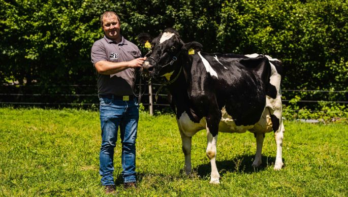 Moetschenhof_Lisser_Lostorf_Kuh