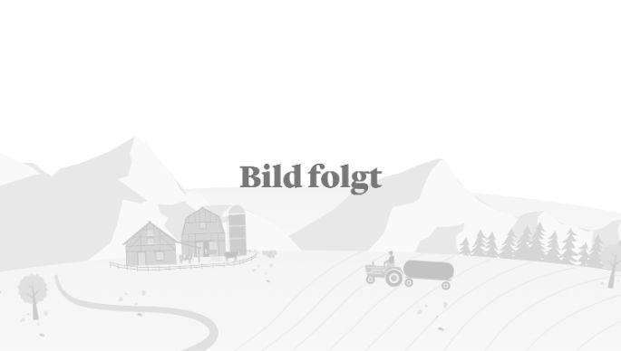 Platzhalter Image_2976x1674_Landschaft