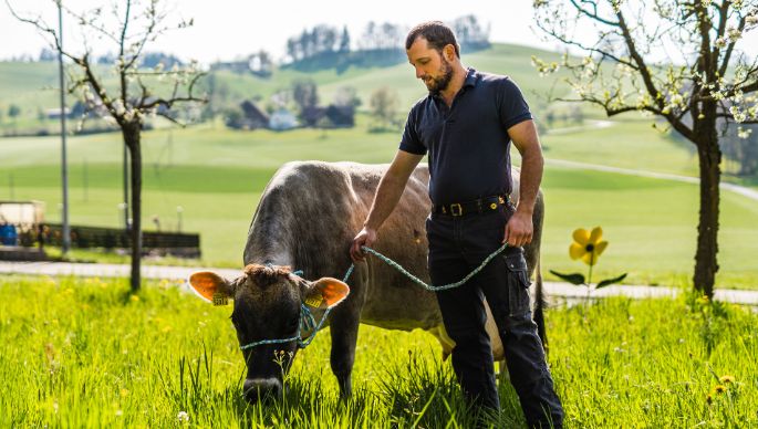 Hof_Häfliger_Häfliger_Speiser_Fischbach_Kuh