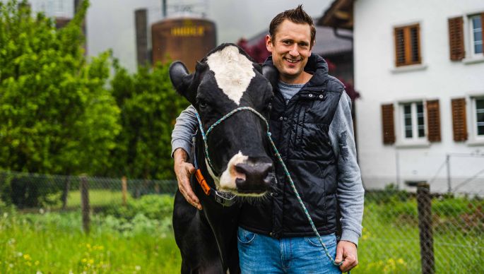 Hof Schenkel_Schenkel_Bergdietikon_Kuh